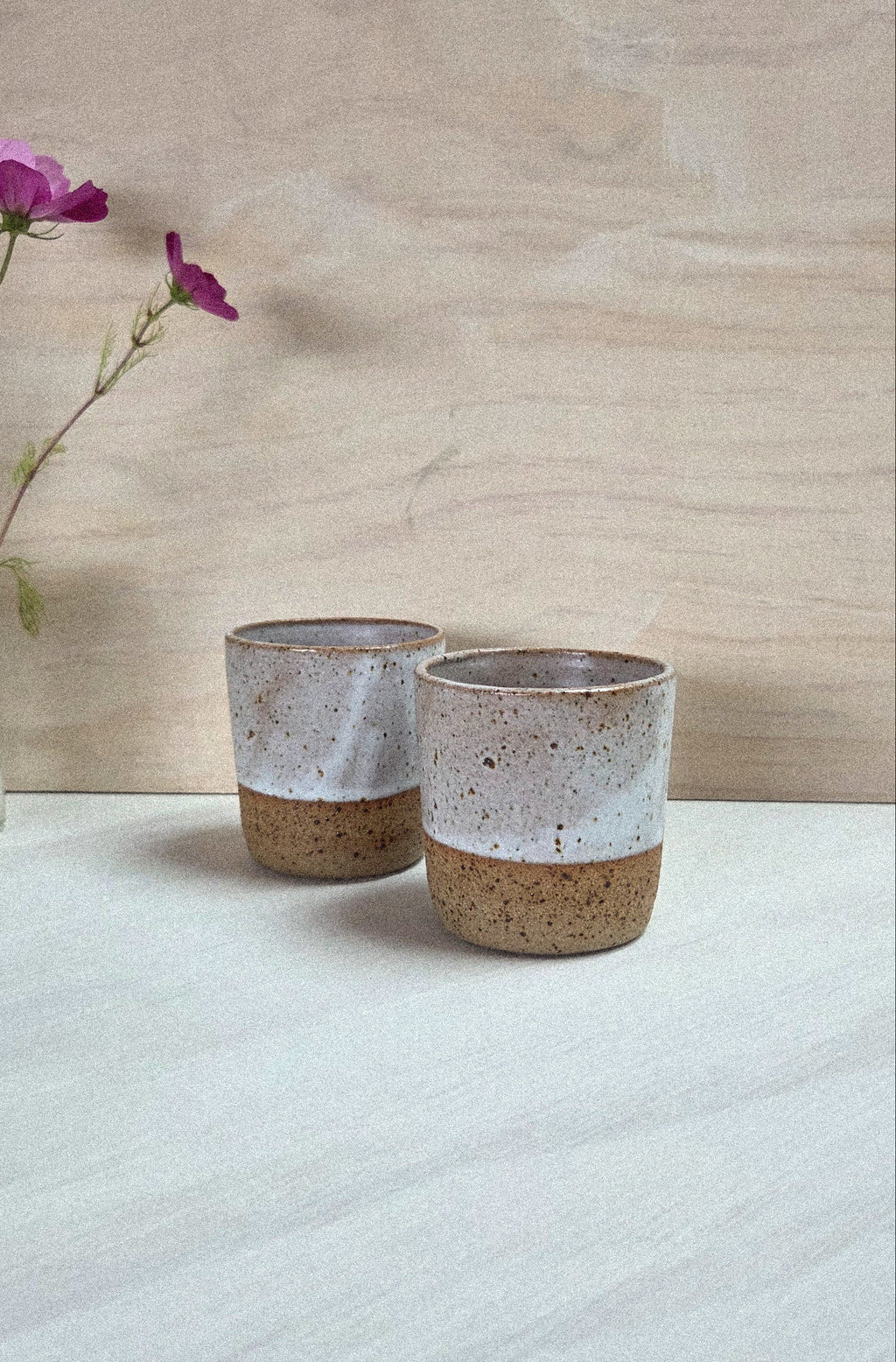 The Core Tumbler - Shell