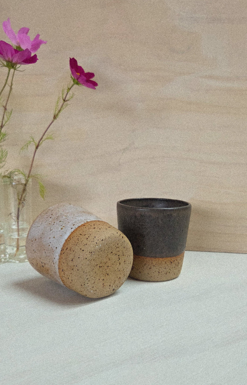 The Core Tumbler - Shell