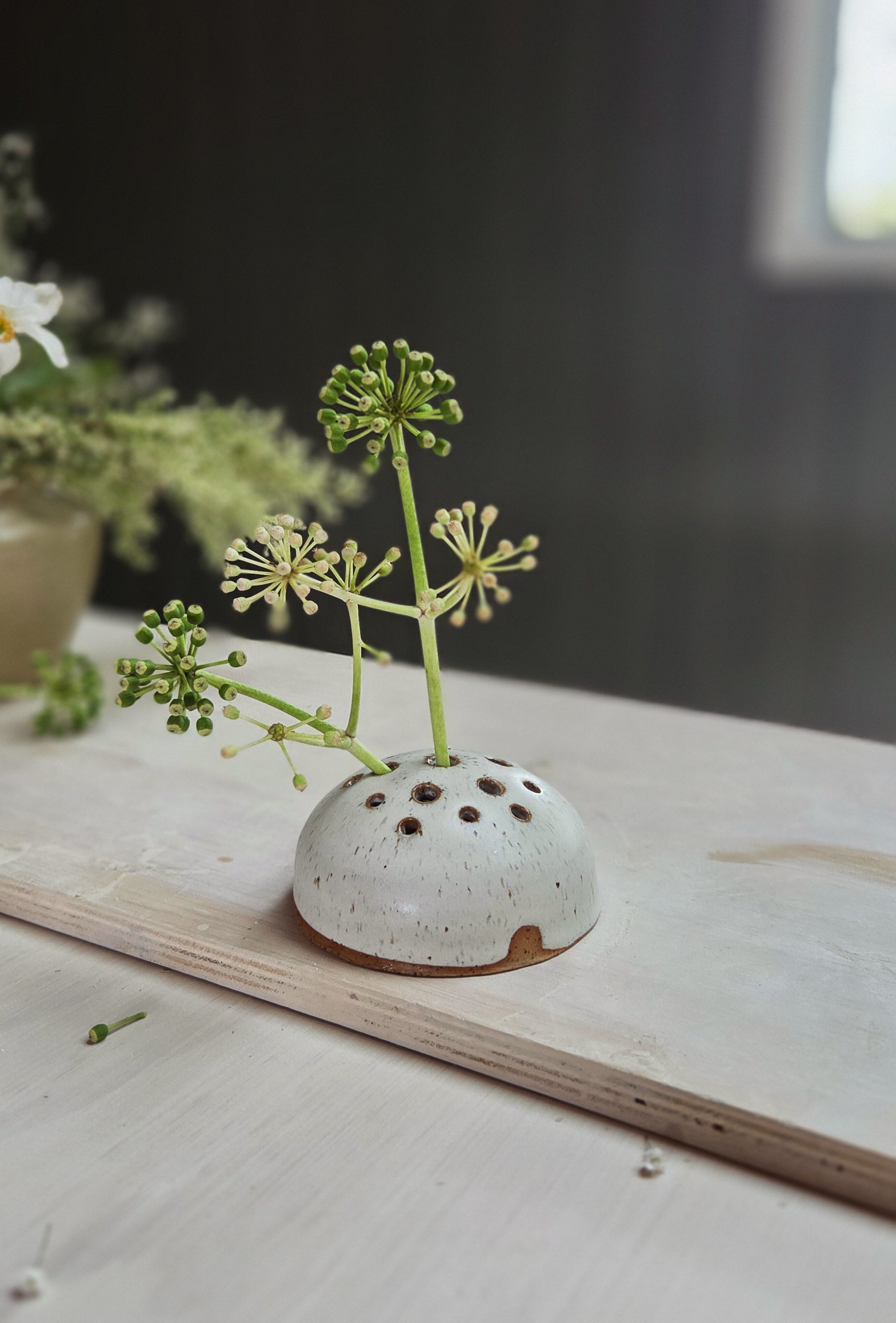 Flower Frog - Chalk