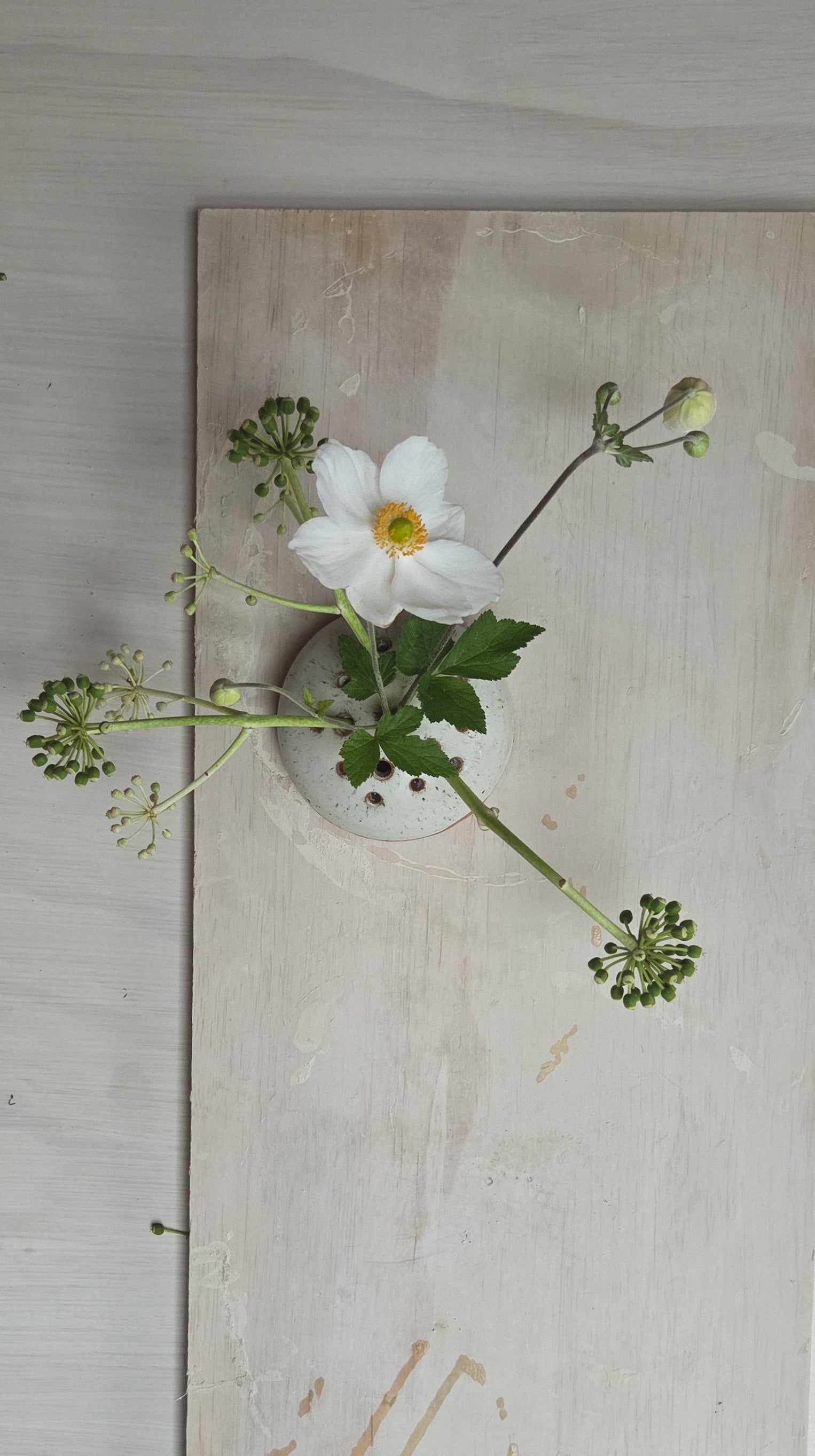 Flower Frog - Chalk